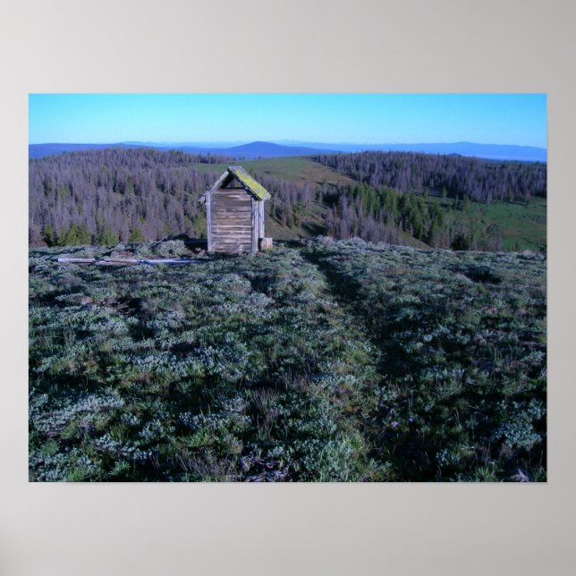 Historisches Outhouse am Bald Feuer Ausblick Poster (Vorne)