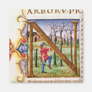 Historisiertes Anfangszeichen "N" Magnet