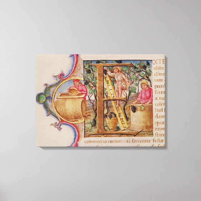 Historisiertes "E", das die Weinbereitung darstell Leinwanddruck (Vorderseite)