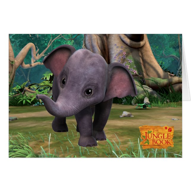 Hita (Vorderseite (Horizontal))