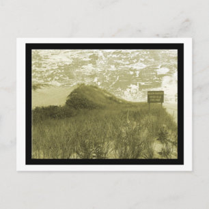 Hither Hills, Montauk Postkarte