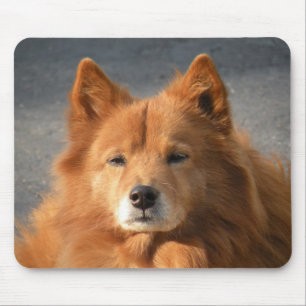 'Hiya!' Mousepad