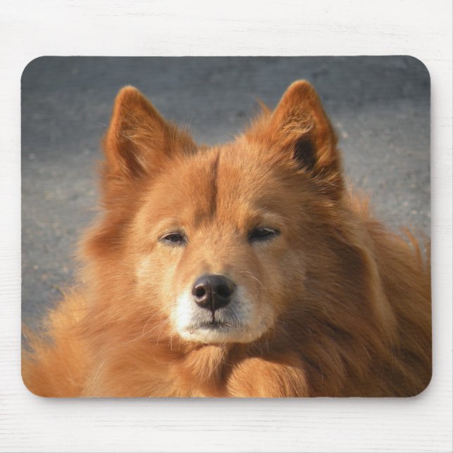 'Hiya!' Mousepad (Vorne)