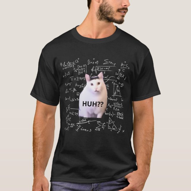 Hm? Cat Meme Funny Meme Huh Cat Math Matimathique T-Shirt (Vorderseite)