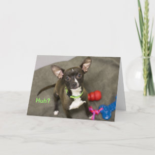 Hm? Chihuahua Birthday Card Karte