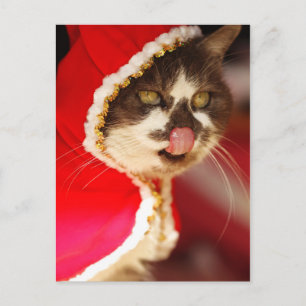 Hmm - Jummy Christmas Leckereien Feiertagspostkarte