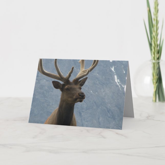 Hmmm, anscheinend hast du einen Geburtstag. Karte (Vorderseite)