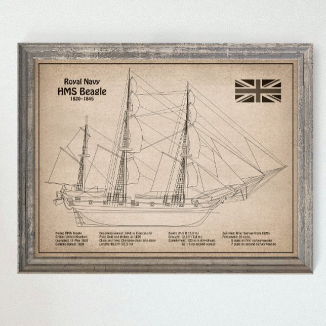 HMS Beagle Tall Ship Blueprint SD Poster (Von Creator hochgeladen)