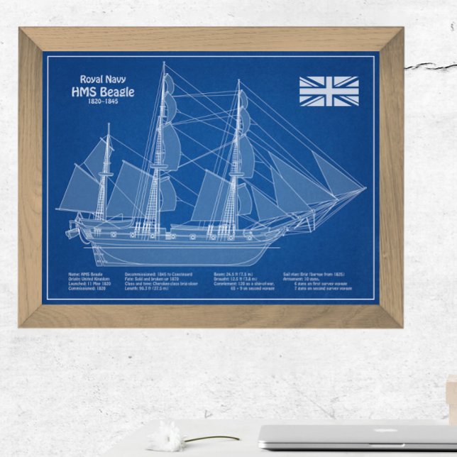 HMS Beagle Tall Ship - Schiffskopfdruck ABD Fotodruck (Von Creator hochgeladen)