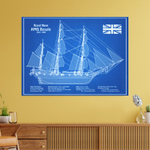 HMS Beagle Tall Ship - Schiffskopfdruck ABD Leinwanddruck