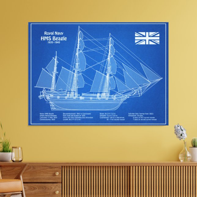 HMS Beagle Tall Ship - Schiffskopfdruck ABD Leinwanddruck (Insitu (Wohnzimmer))