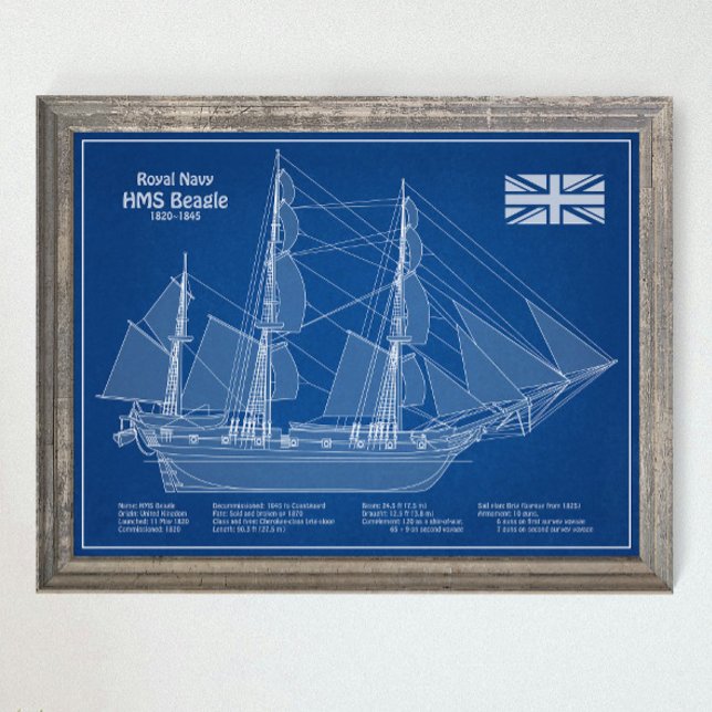 HMS Beagle Tall Ship - Schiffskopfdruck ABD Poster (Von Creator hochgeladen)