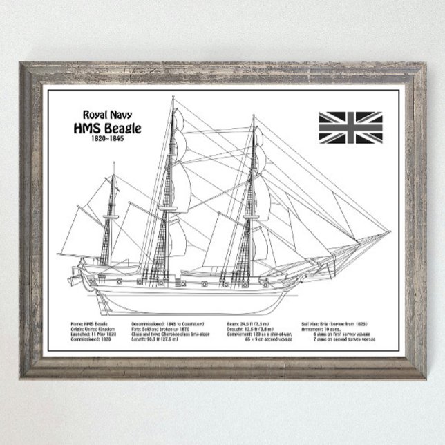HMS Beagle Tall Ship - Schiffskopfdruck BD Poster (Von Creator hochgeladen)