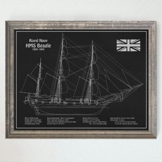 HMS Beagle Tall Ship - Schiffskopfdruck PBD Poster (Von Creator hochgeladen)