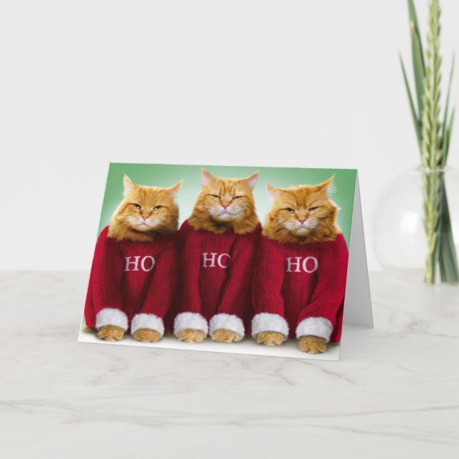 Ho Ho Drei Katzen Frohe Weihnachtsgrüße Karte (Vorderseite)