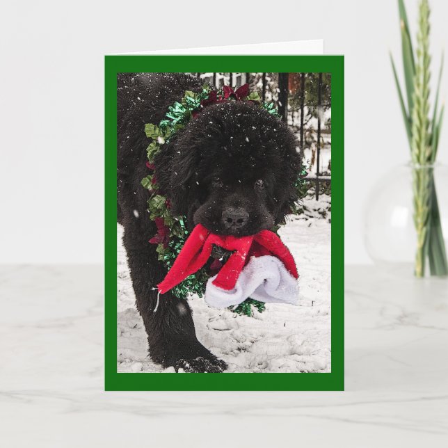 Ho Ho Ho Feiertagskarte (Vorderseite)