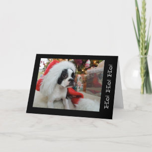 Ho! Ho! ho! Frohe Weihnachten Lola B. Boston