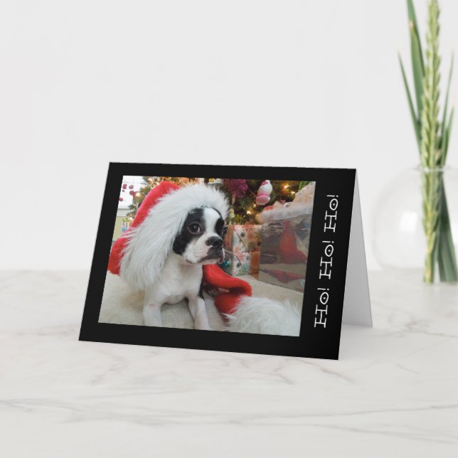 Ho! Ho! ho! Frohe Weihnachten Lola B. Boston (Vorderseite)