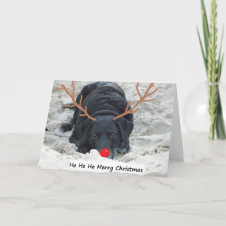 Ho Ho Ho fröhliches Weihnachten