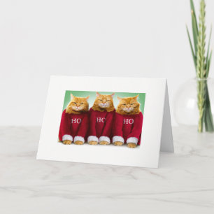 Ho Ho Ho Katzen-Weihnachtskarte Feiertagskarte