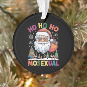 Ho Ho Homosexueller Weihnachtsmann Feiertag Gay Pr Ornament