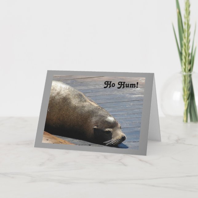 HO HUM! KEIN 50. GEBURTSTAG. KARTE (Vorderseite)