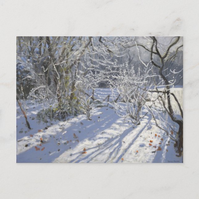 Hoar frost Markeaton Derby.UK.2012 Postkarte (Vorderseite)