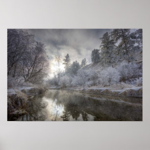 Hoarfrost an einem Talabhang auf der Kelly Island Poster
