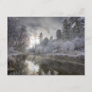 Hoarfrost an einem Talabhang auf der Kelly Island Postkarte