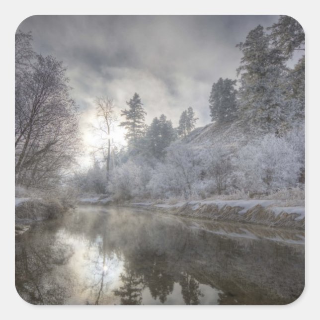 Hoarfrost an einem Talabhang auf der Kelly Island Quadratischer Aufkleber (Vorderseite)