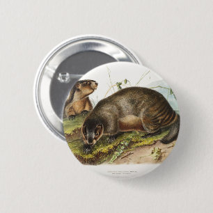 Hoary Marmot Camping Deko Geschenke Button
