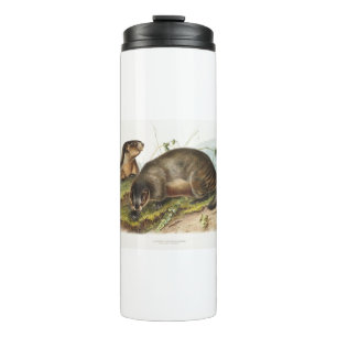 Hoary Marmot Camping Deko Geschenke Thermosbecher
