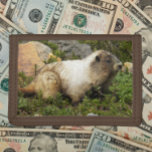 Hoary Marmot Wildlife Foto Trifold Geldbörse<br><div class="desc">Für Naturliebhaber! Sichern Sie sich Geld und Kreditkarten mit dieser Brieftasche,  die das Foto eines Hoary Marmot enthält. Wählen Sie Ihre Portemonnaie aus.</div>