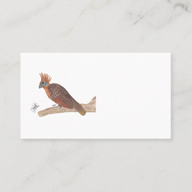 HOATZIN VISITENKARTE (Vorderseite)