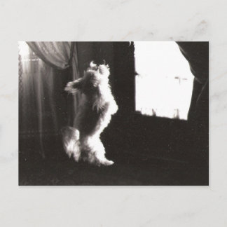 Hobbitt Postcard Postkarte