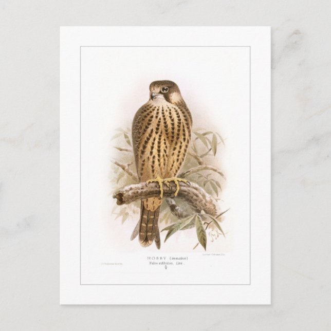 Hobby Postkarte (Vorderseite)