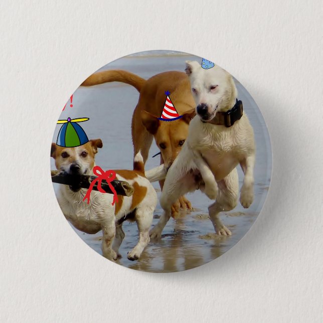 Hobbyhunde Button (Vorderseite)