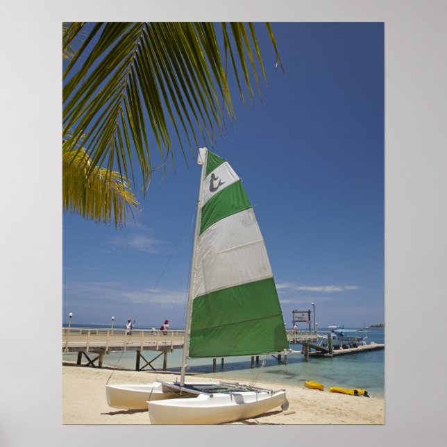 Hobie Cat, Plantation Island Resort Poster (Vorne)