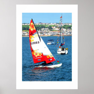 Hobie Katze, Jersey Poster