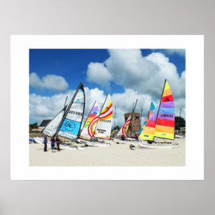 Hobies auf dem Strand Poster