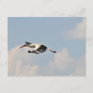 Hoch am Himmel Postkarte