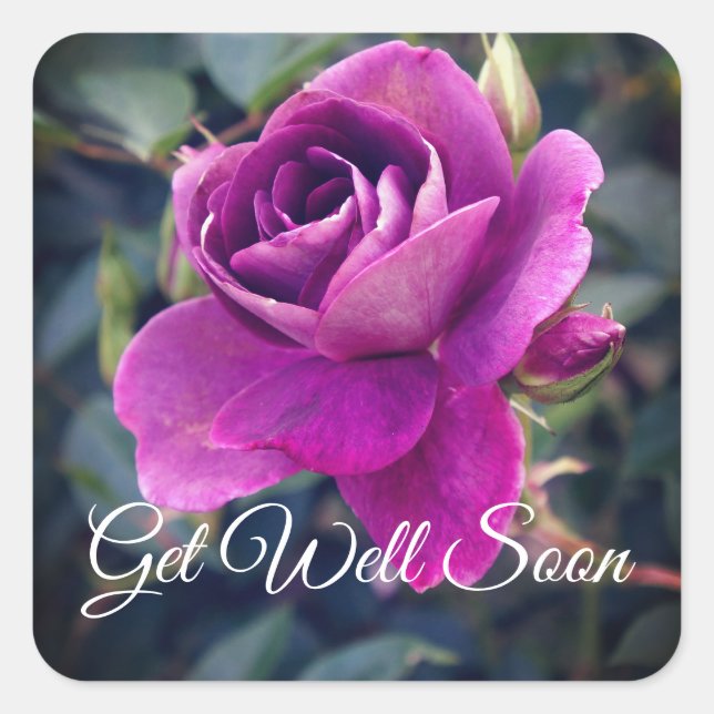 Hoch auf Burgundy Iceberg #2-2 Stickers (Vorderseite)