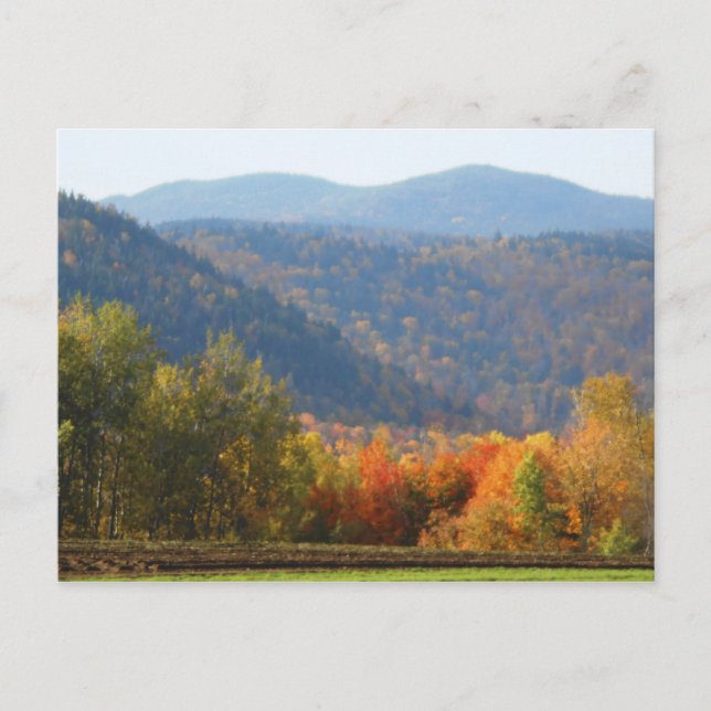Hoch Gipfel Adirondacks Herbstgebirge Wald Postkarte (Vorderseite)