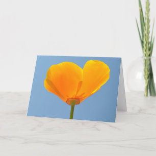 Hoch im Himmel Karte