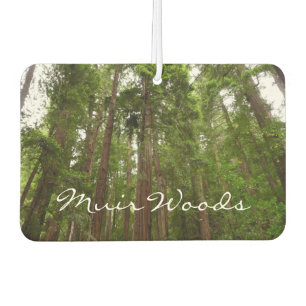 Hoch zu den Redwoods I im Muir Woods National Monu Autolufterfrischer