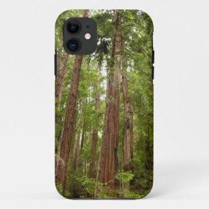Hoch zu den Redwoods I im Muir Woods National Monu Case-Mate iPhone Hülle