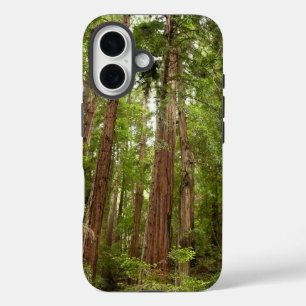 Hoch zu den Redwoods I im Muir Woods National Monu iPhone 16 Hülle