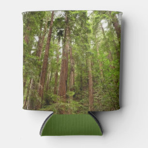 Hoch zu den Redwoods I im Muir Woods National Monu Dosenkühler