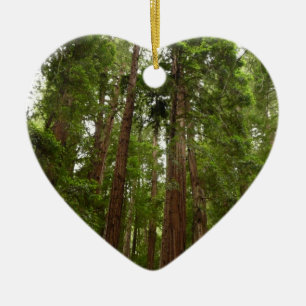 Hoch zu den Redwoods I im Muir Woods National Monu Keramikornament