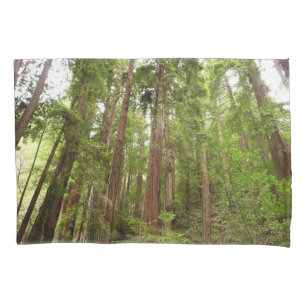 Hoch zu den Redwoods I im Muir Woods National Monu Kissenbezug